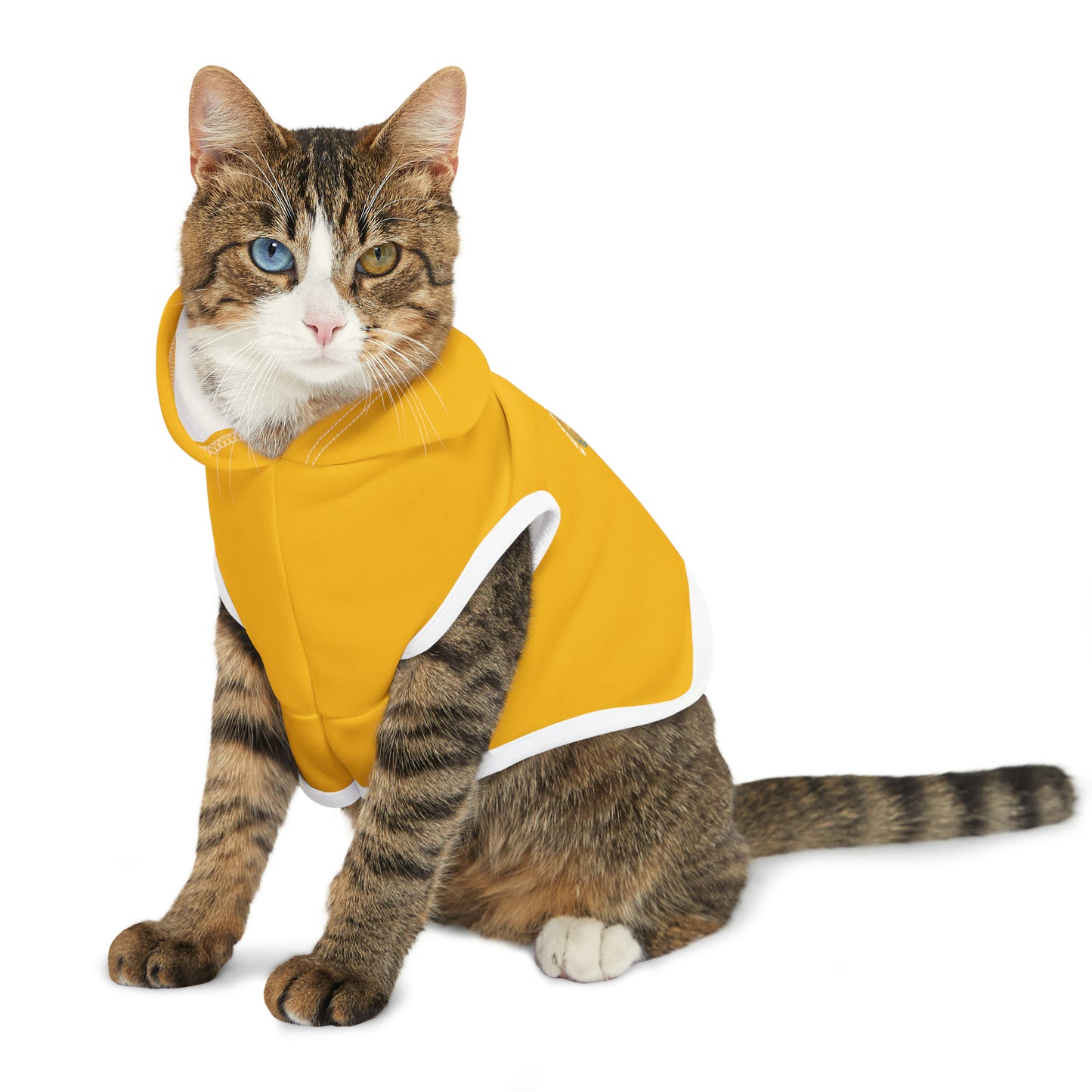 Friday's To Go Pet Hoodie