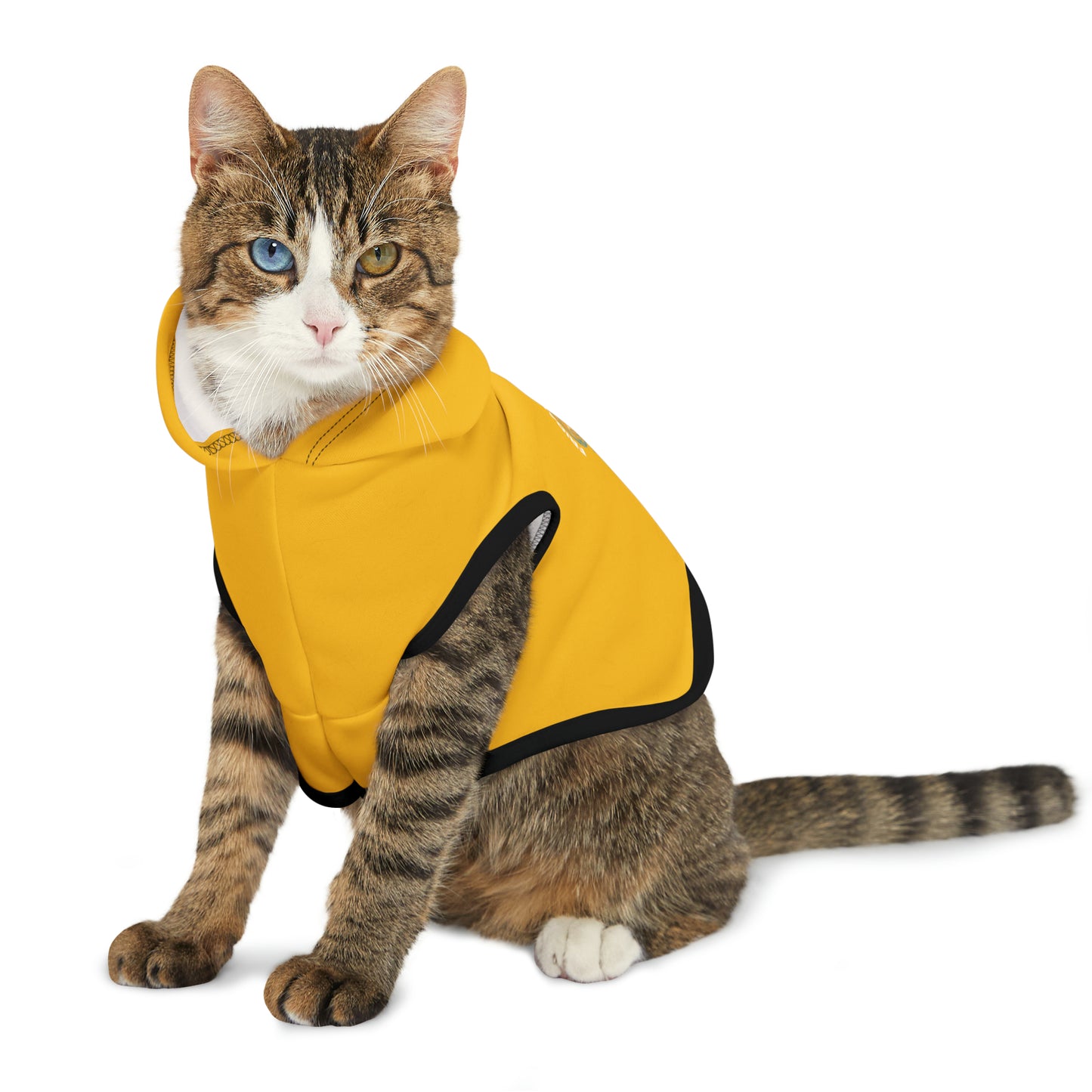 Friday's To Go Pet Hoodie