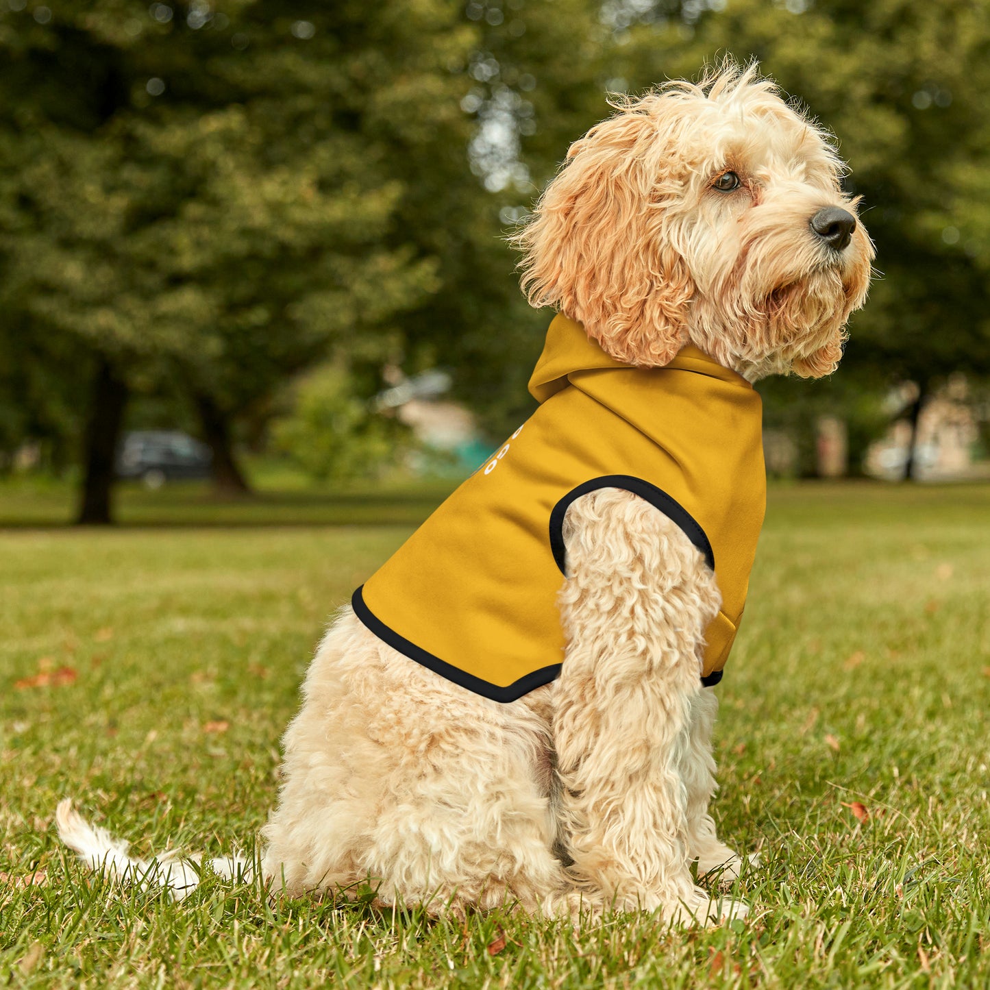 Friday's To Go Pet Hoodie