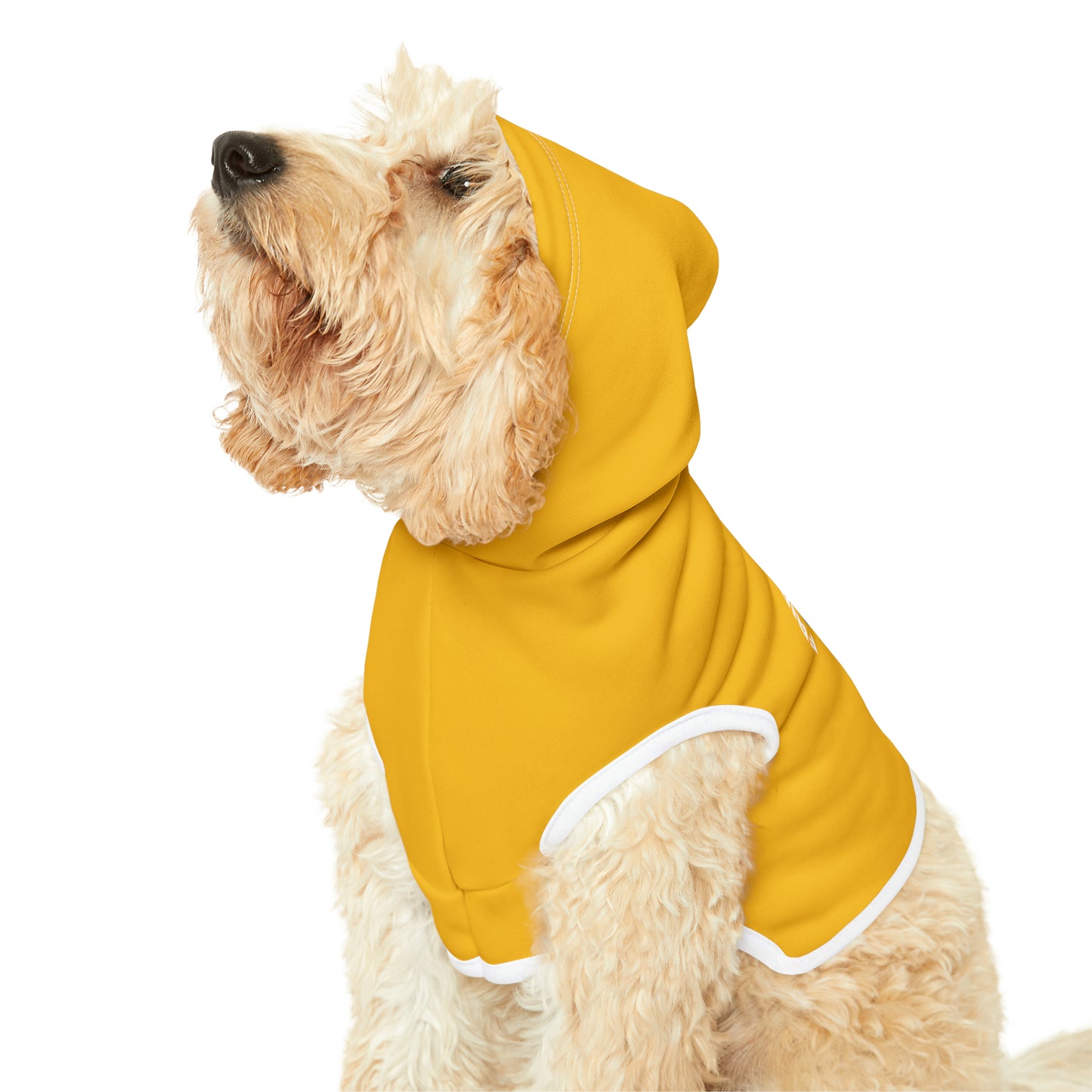 Friday's To Go Pet Hoodie