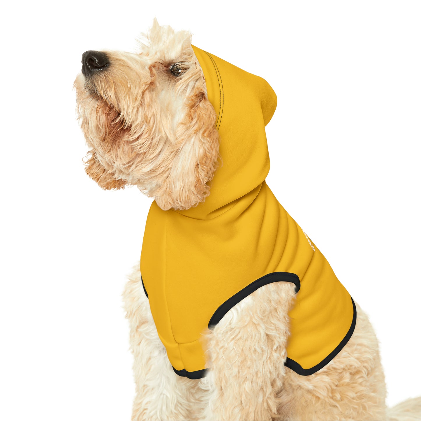 Friday's To Go Pet Hoodie