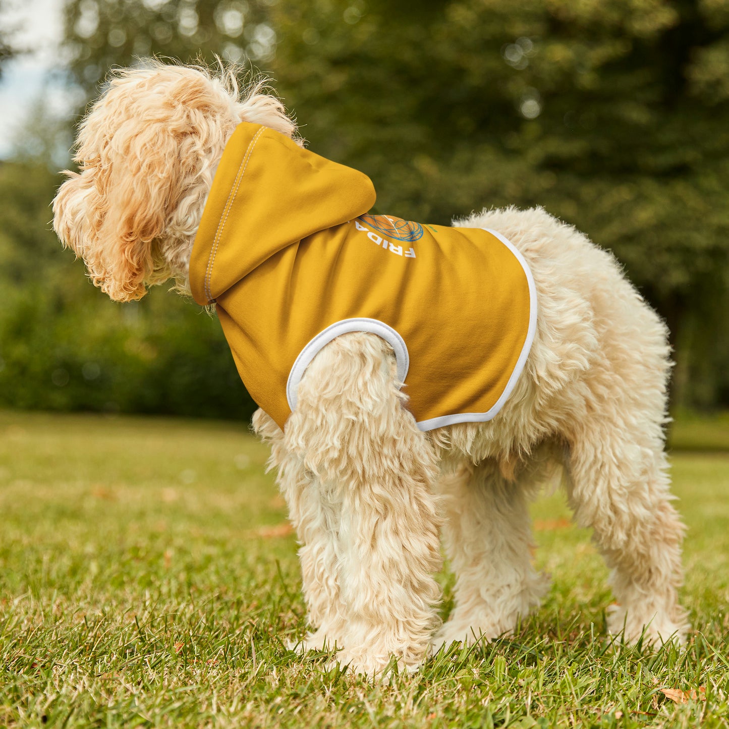 Friday's To Go Pet Hoodie