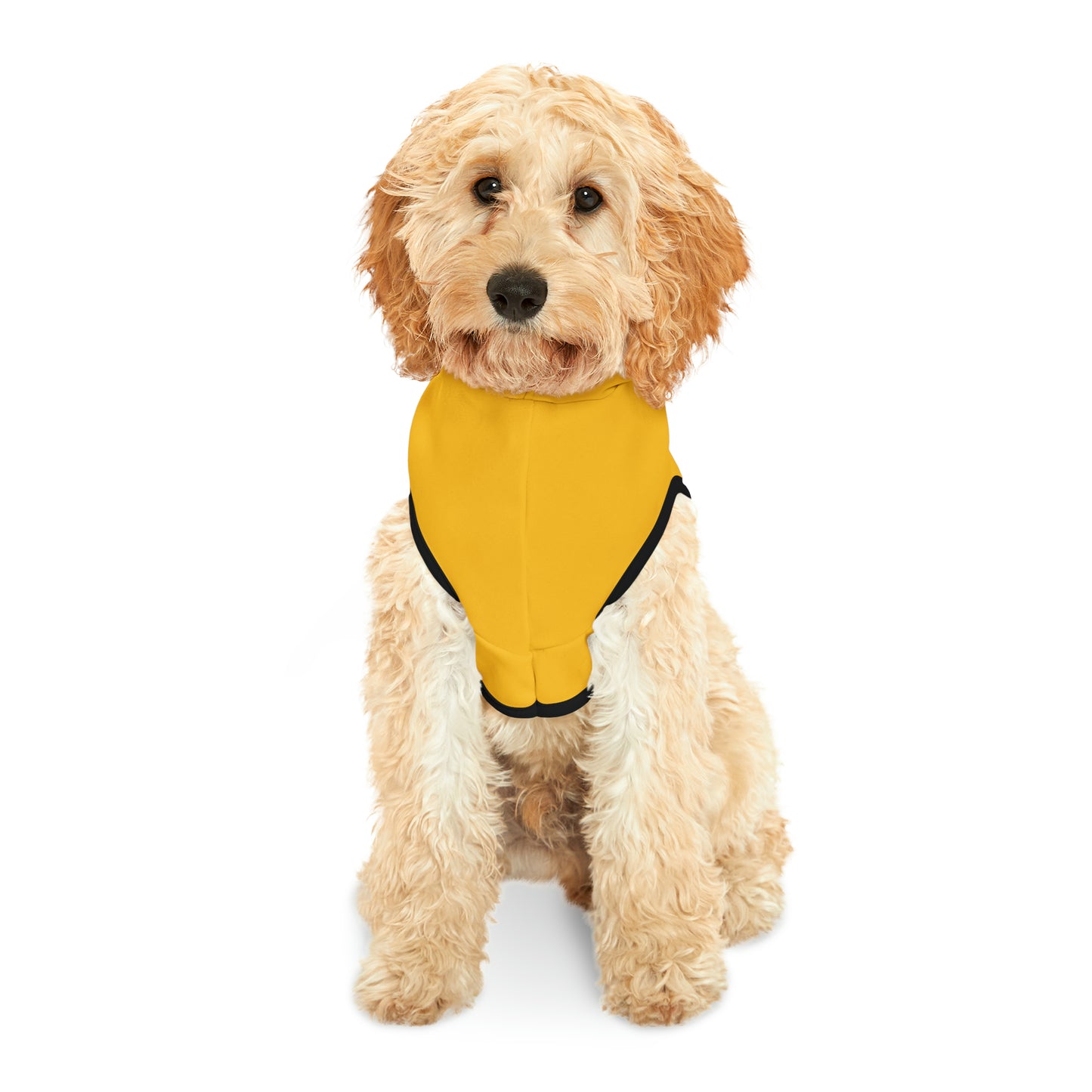 Friday's To Go Pet Hoodie