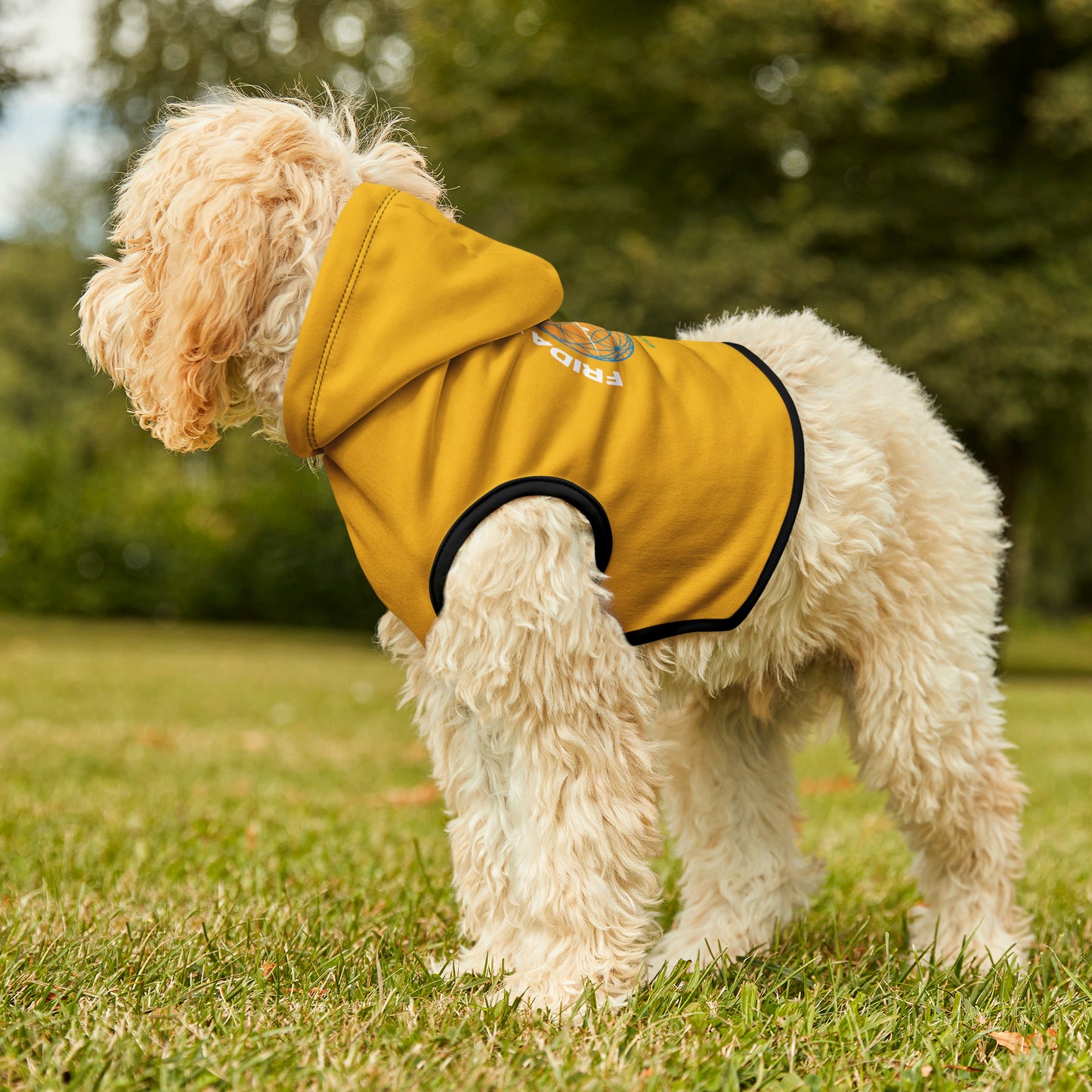 Friday's To Go Pet Hoodie