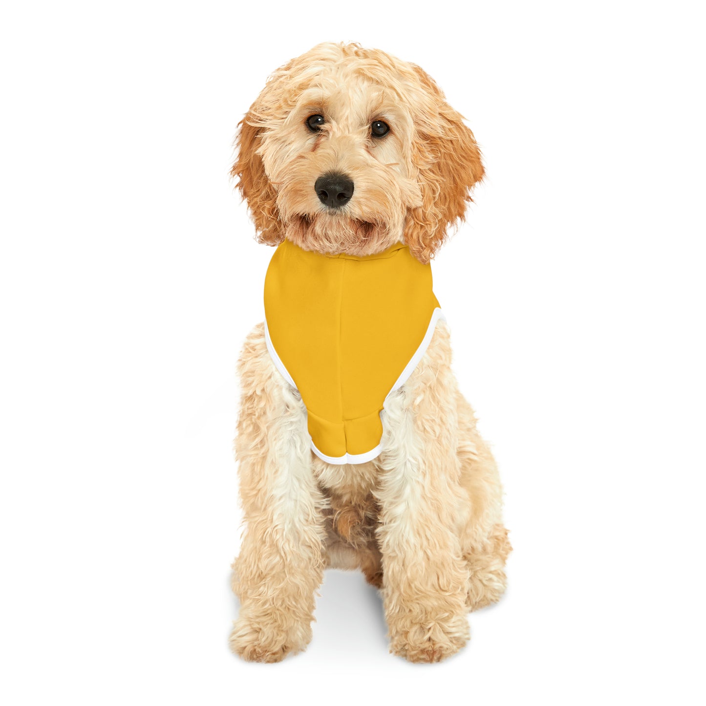 Friday's To Go Pet Hoodie